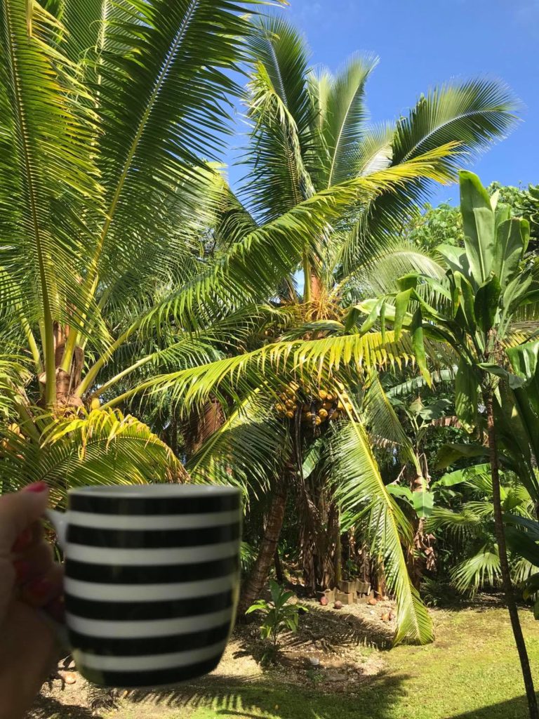 Coffee on the back deck | Tash Diaries